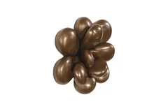 Oviferum Succulent Wall Art, Imperial Bronze