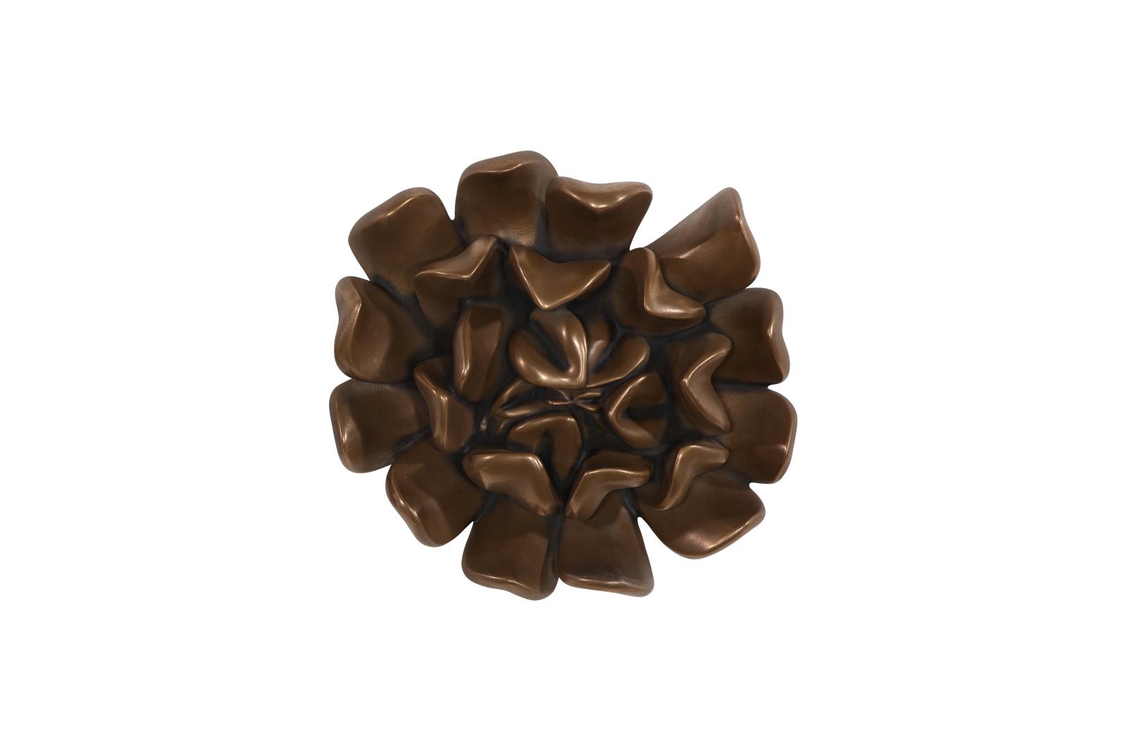 Topsy Turvy Succulent Wall Art, Imperial Bronze