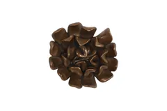 Topsy Turvy Succulent Wall Art, Imperial Bronze