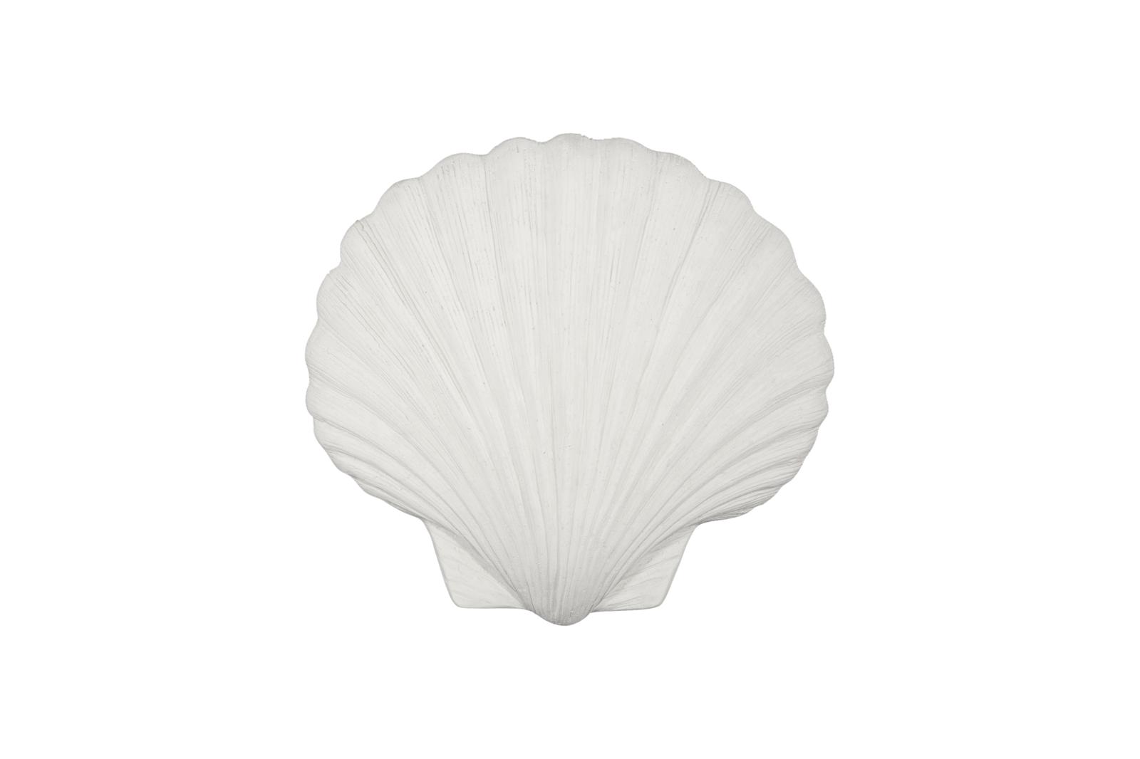 Sea Shell Wall Art, White Stone