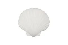 Sea Shell Wall Art, White Stone