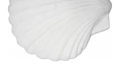 Sea Shell Wall Art, White Stone