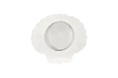 Sea Shell Wall Art, White Stone