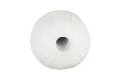 Vasti Vase, LG