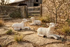 Goat Sculpture, Laying, Gel Coat