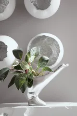 Burled Vase, Silver Leaf
