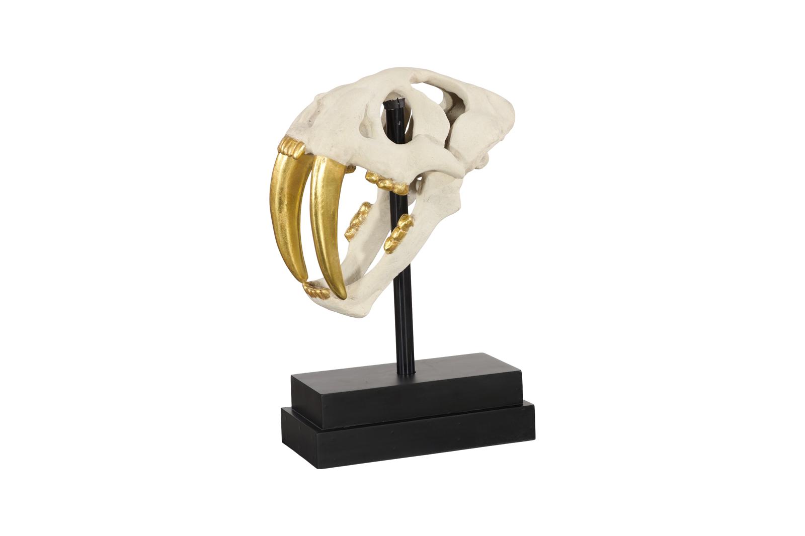 Saber Tooth Tiger Skull, Roman Stone