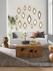 Saber Tooth Tiger Skull, Roman Stone