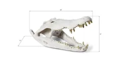 Crocodile Skull, Roman Stone, Gold Leaf