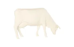 Life Size Cow, Grazing, Off White