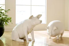 Happy Pig