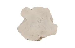 Log Side Table, Roman Stone
