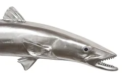 Barracuda Fish Wall Sculpture, Resin, Silver Leaf