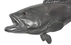 Estuary Cod Fish Wall Sculpture, Resin, Polished Aluminum Finish