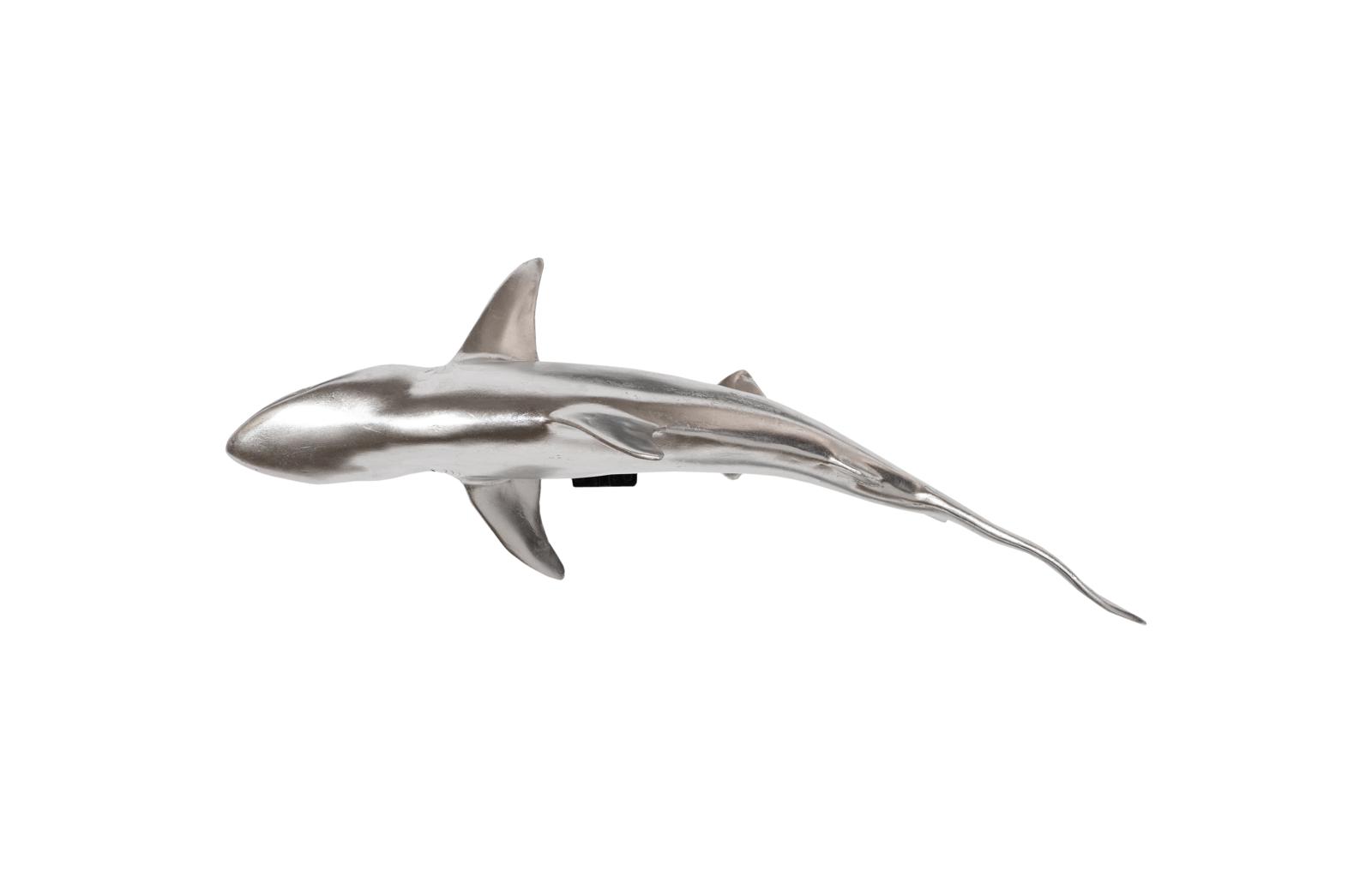 Whaler Shark, Silver Leaf