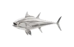 Bluefin Tuna Fish Wall Sculpture, Resin, Silver Leaf