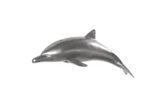 Dolphin, Polished Aluminum