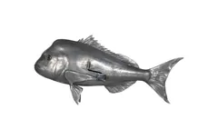 Australian Snapper Fish Wall Sculpture, Resin, Polished Aluminum Finish
