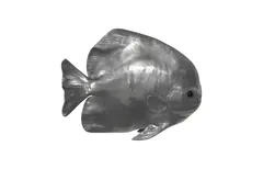 Australian Bat Fish Wall Sculpture, Resin, Polished Aluminum Finish