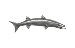Barracuda Fish Wall Sculpture, Resin, Polished Aluminum Finish