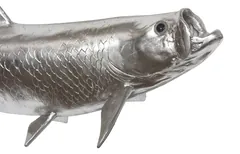 Tarpon Fish Wall Sculpture, Resin, Silver Leaf