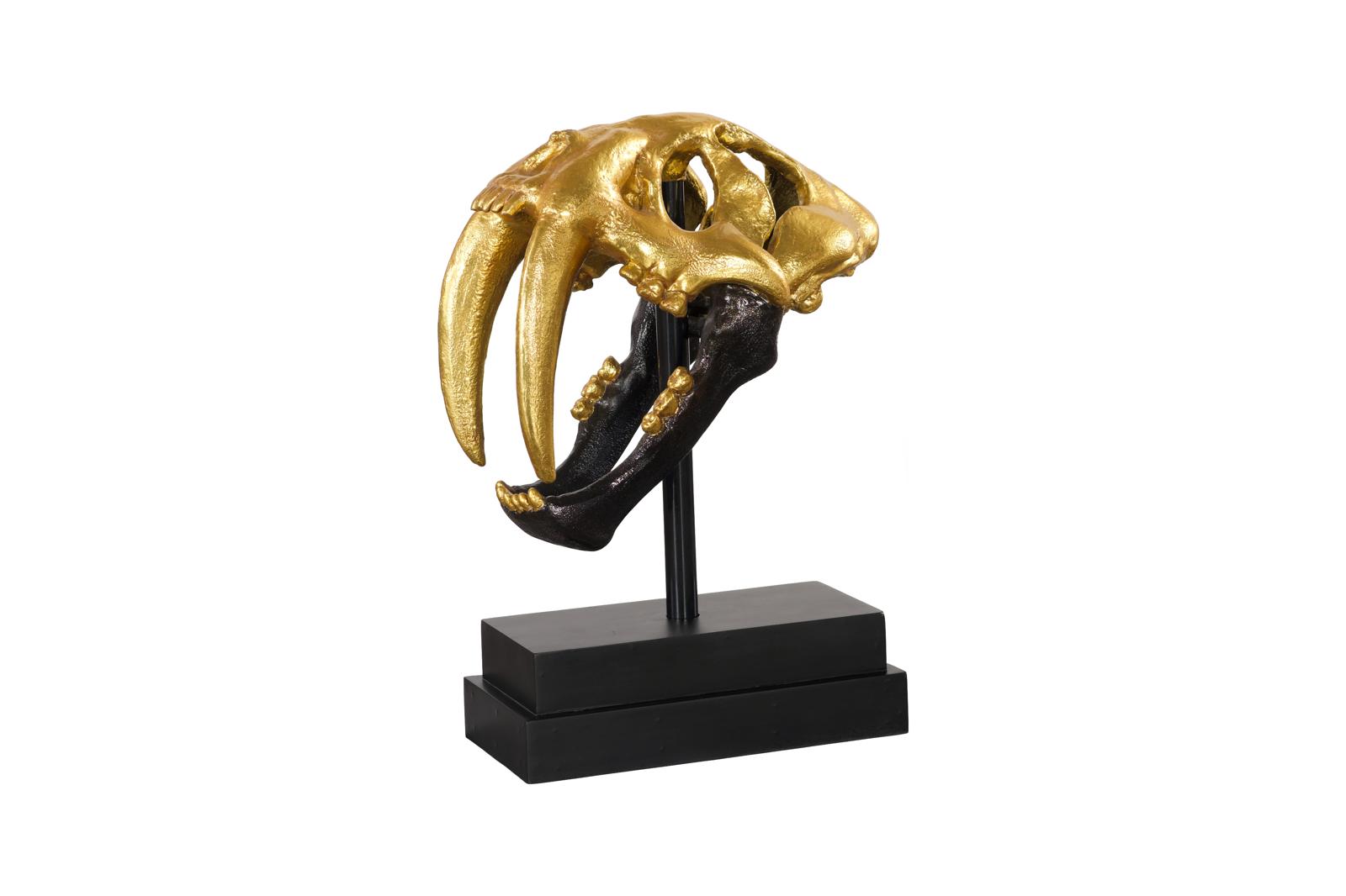 Saber Tooth Tiger Skull, Black, Gold Leaf