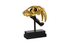 Saber Tooth Tiger Skull, Black, Gold Leaf