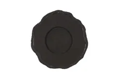 Fungia Mirror, Silver