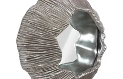 Fungia Mirror, Silver