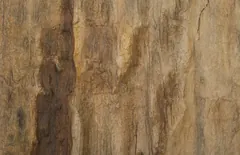 Cast Petrified Wood Wall Tile, Resin, Square