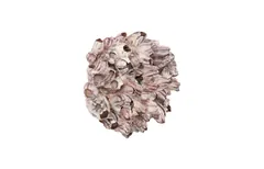 Barnacle Cluster Wall Art, LG