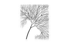 Wire Tree Wall Art, Rectangular, Metal, Black