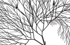 Wire Tree Wall Art, Rectangular, Metal, Black