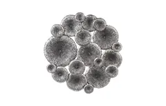 Lotus Collage, Round, Metal, Silver/Black