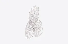 Tri Leaf Wall Art, Small, Metal, Silver/Black