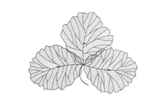 Tri Leaf Wall Art, Medium, Metal, Silver/Black