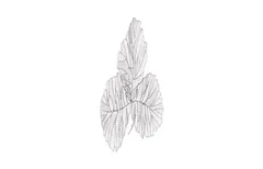 Tri Leaf Wall Art, Medium, Metal, Silver/Black
