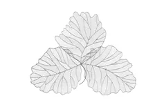 Tri Leaf Wall Art, Large, Metal, Silver/Black