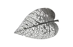 Birch Leaf Wall Art, Silver, LG