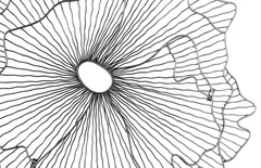 Poppy Flower Wall Art, Silver/Black, SM