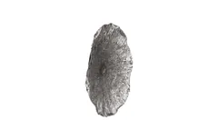 Lotus Wall Art, Silver/Black, MD