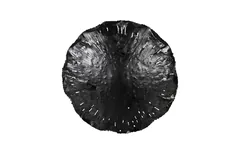 Lotus Wall Art, Silver/Black, MD