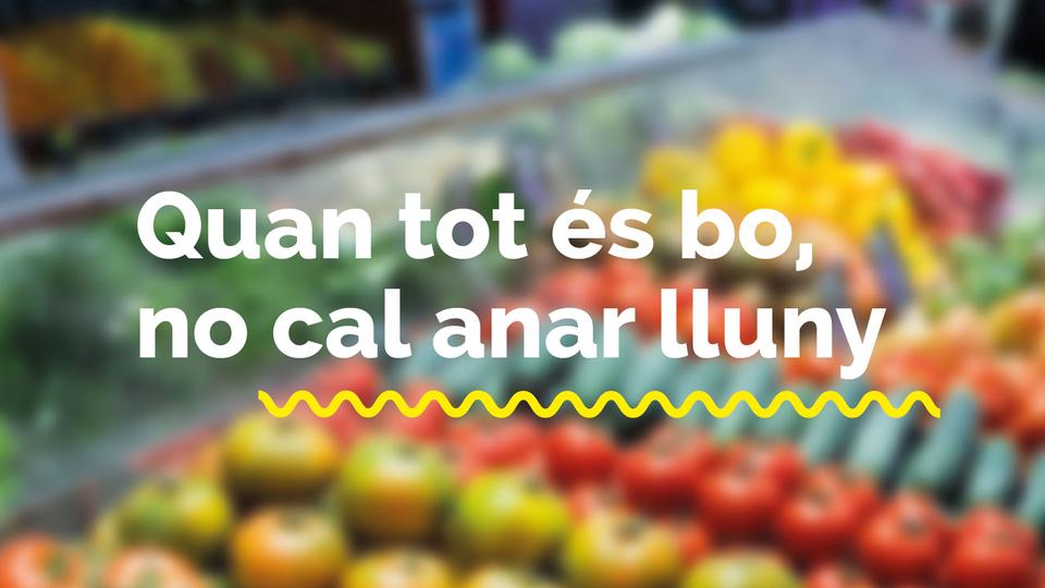 CONDIS - Qualitat i Varietat
