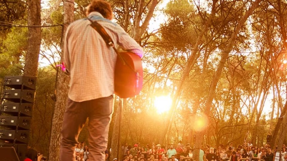 Vida Festival