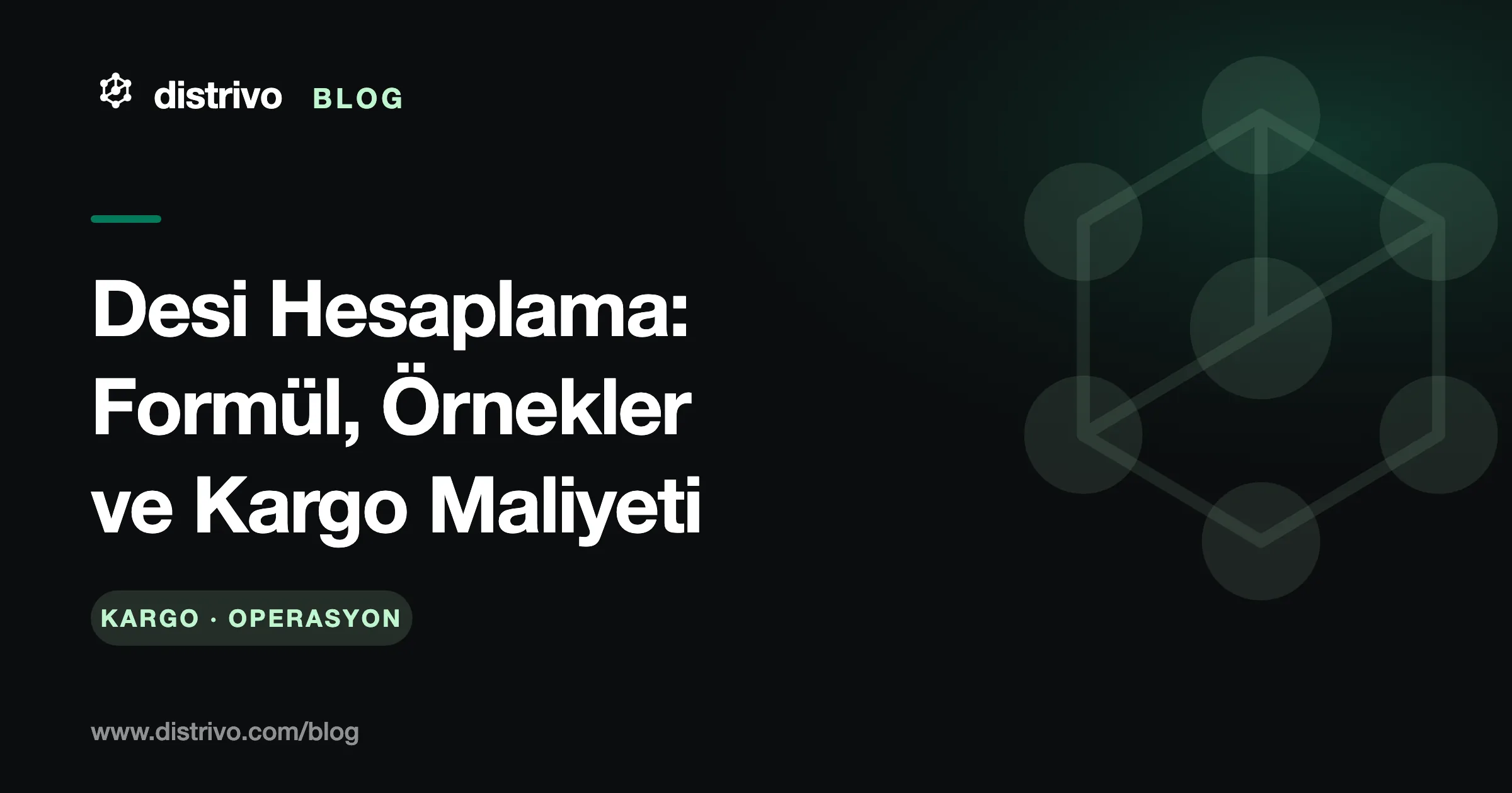Desi hesaplama formülü ve kargo maliyeti — Distrivo Blog kapağı