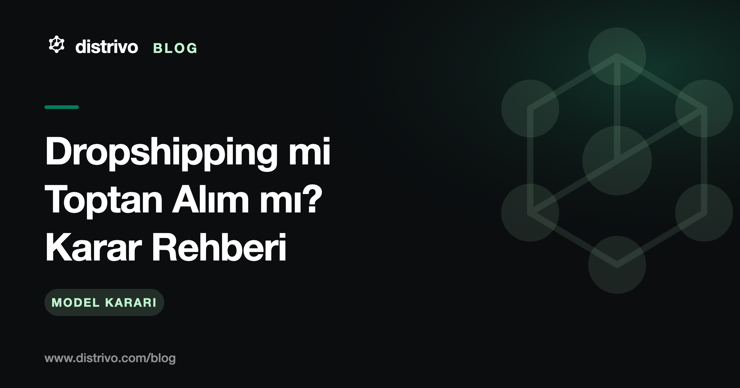 Dropshipping mi toptan alım mı karar rehberi — Distrivo Blog kapağı