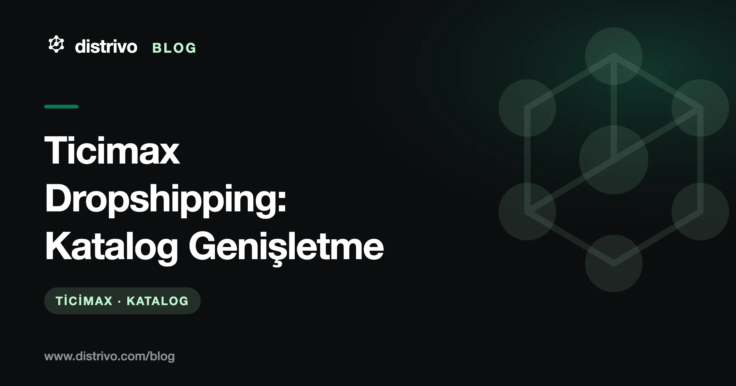 Ticimax dropshipping: katalog genişletme — Distrivo Blog kapağı