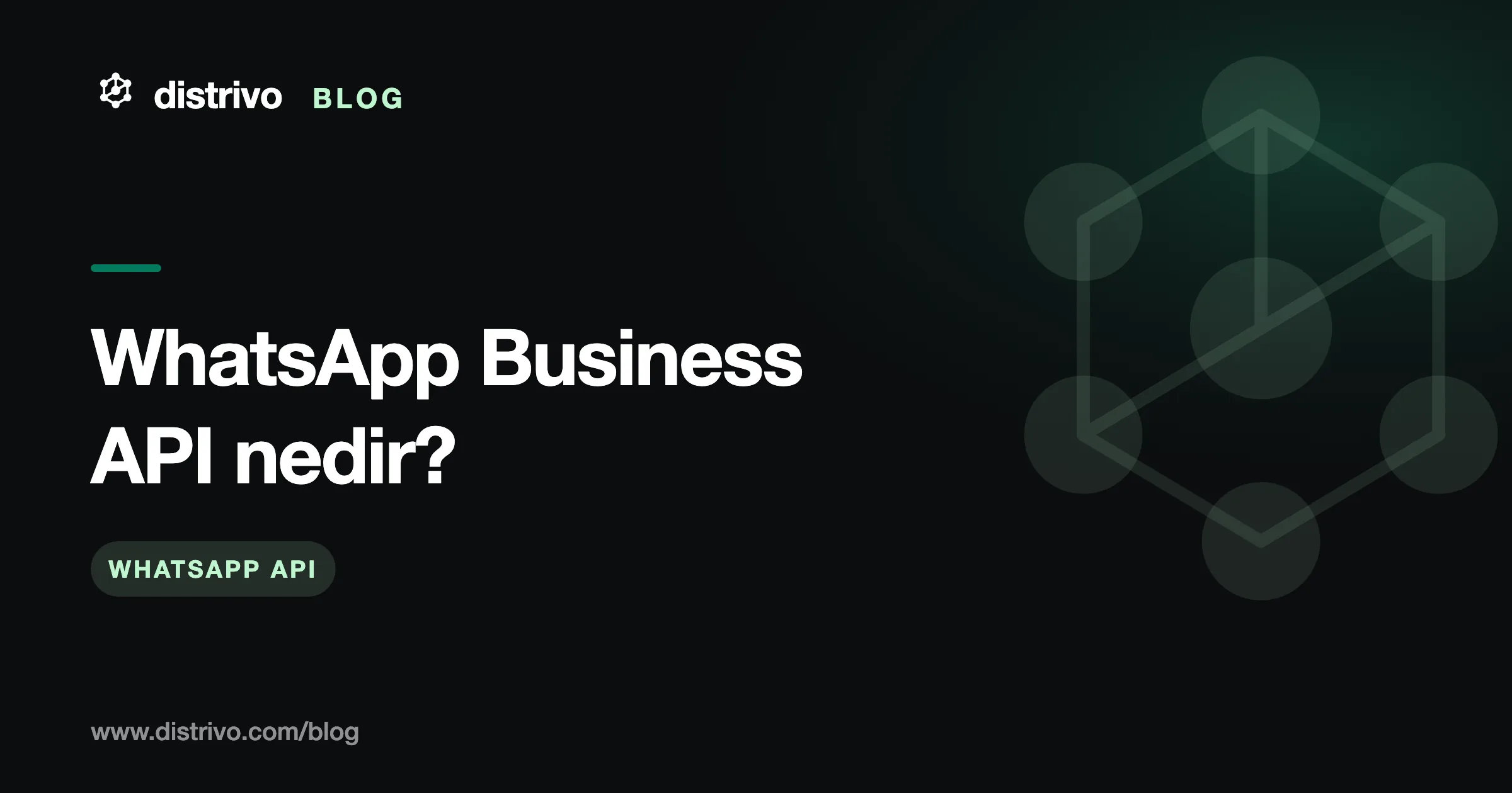 WhatsApp Business API nedir — uygulamadan farkı ve nasıl alınır, Distrivo Blog kapağı