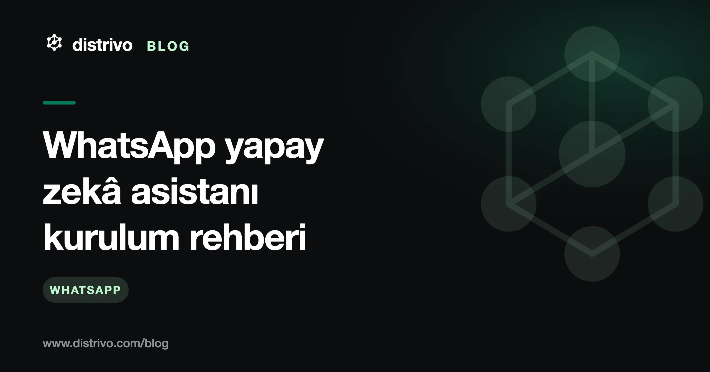 WhatsApp yapay zekâ asistanı — e-ticaret için kurulum rehberi, Distrivo Blog kapağı