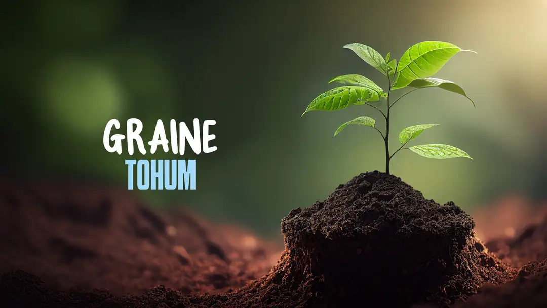 Main dans la main pour la nature : Faisons-la pousser ensemble